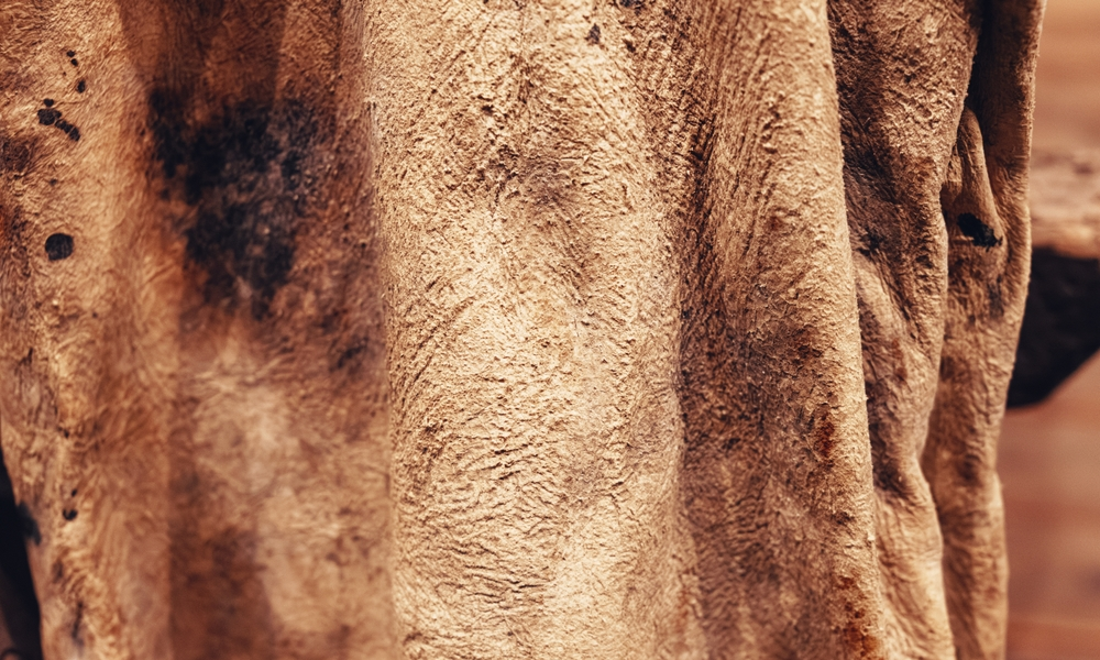 How Leather Is Made